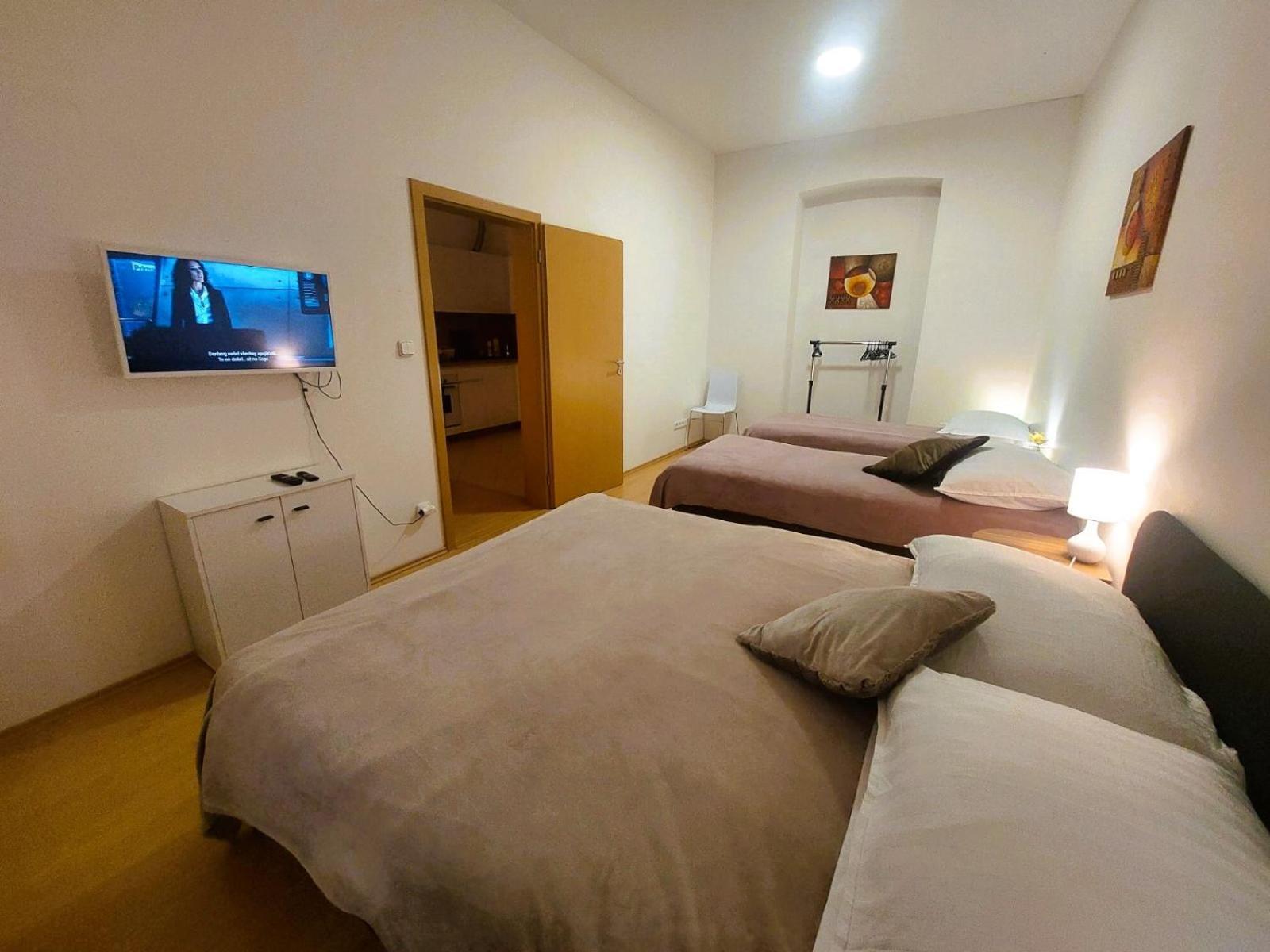 Prostorny Byt V Centru 3 Kk 80 M2 Hradec Králové Extérieur photo